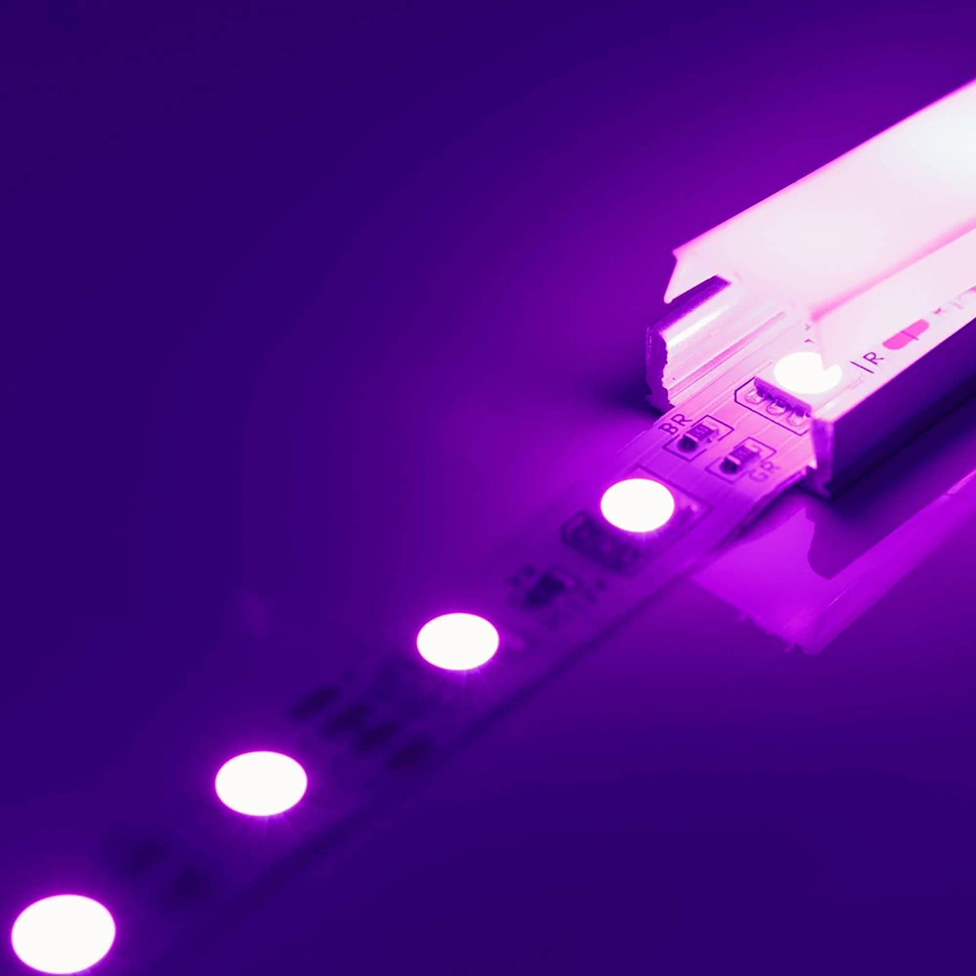 purple led strip